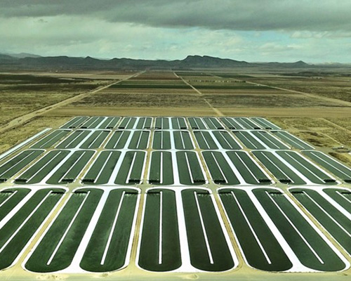 Algae farm in New Mexico
