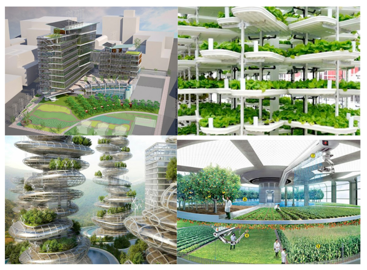 Concept of urban vertical farms