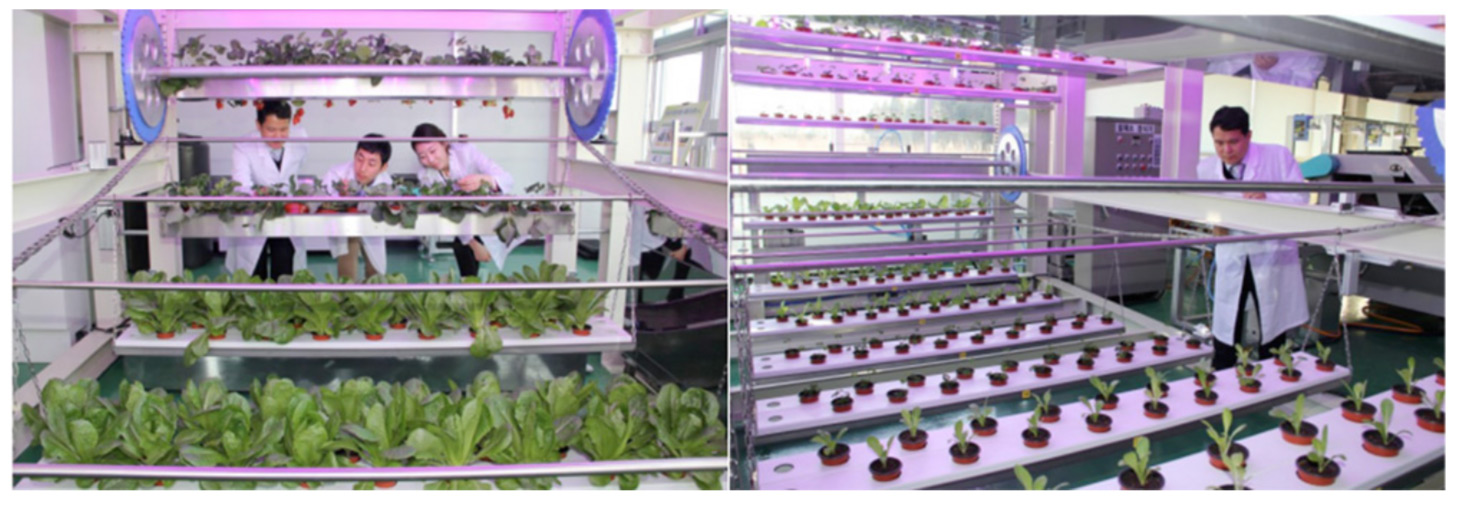 Indoor vertical farm in South Korea