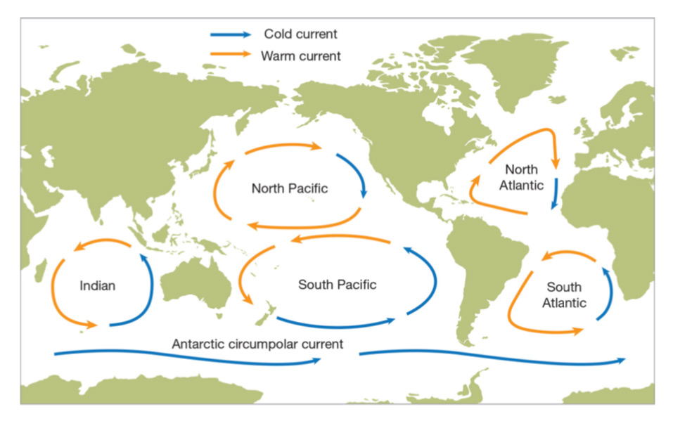 The great pacific garbage patch