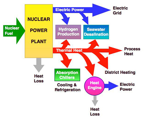 Nuclear-driven cogeneration