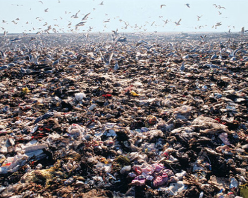 global ocean trash